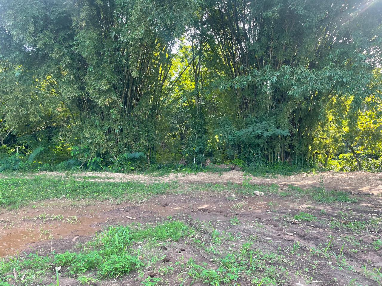 Excelente Solar de 878 metros en La Colonia, Bonao. con acceso al río en República Dominicana
