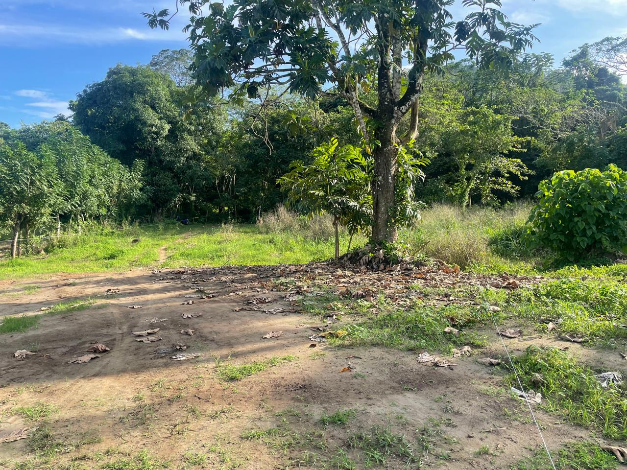 Solar de 729 metros con Acceso al rio en la colonia, piedra blanca en República Dominicana